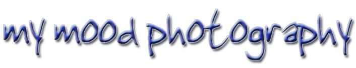 Welcome to MyMood Photography, wedding, portrait and event photographers in East London